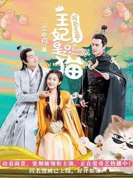 报告王爷，王妃是只猫2