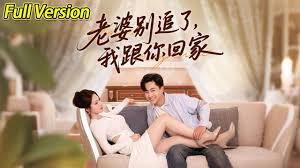 老婆别追了我跟你回家