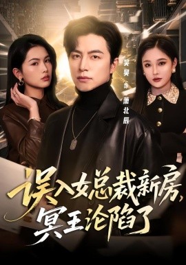 误入女总裁新房，冥王沦陷了
