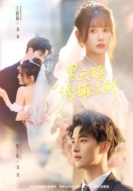 黑天鹅诱捕法册