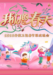 安徽卫视春节联欢晚会2026