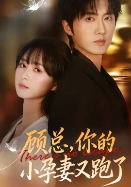 顾总，你的小孕妻又跑了