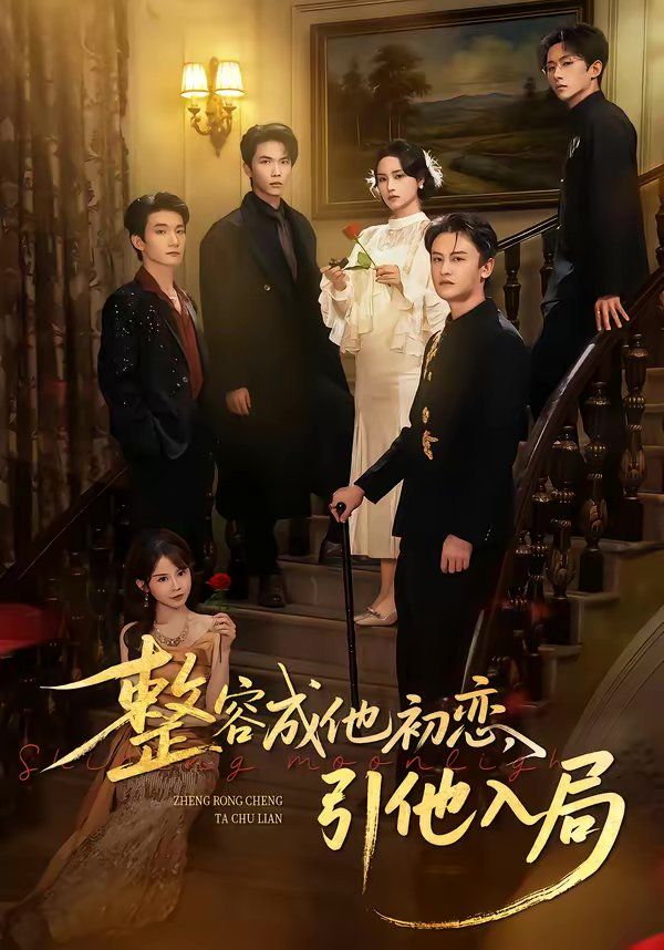 整容成他初恋，引他入局