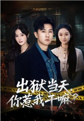 出狱当天,你惹我干嘛?