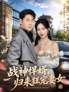 战神悍婿，归来狂宠妻女
